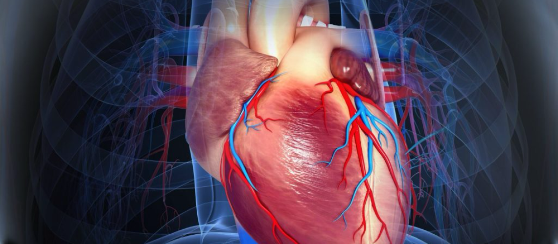 آنوریسم آئورت در تبریز